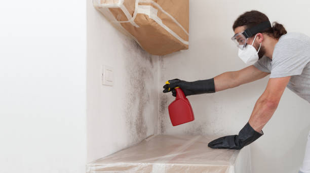 Attic Mold Remediation treatment on roof deck in Prior Lake